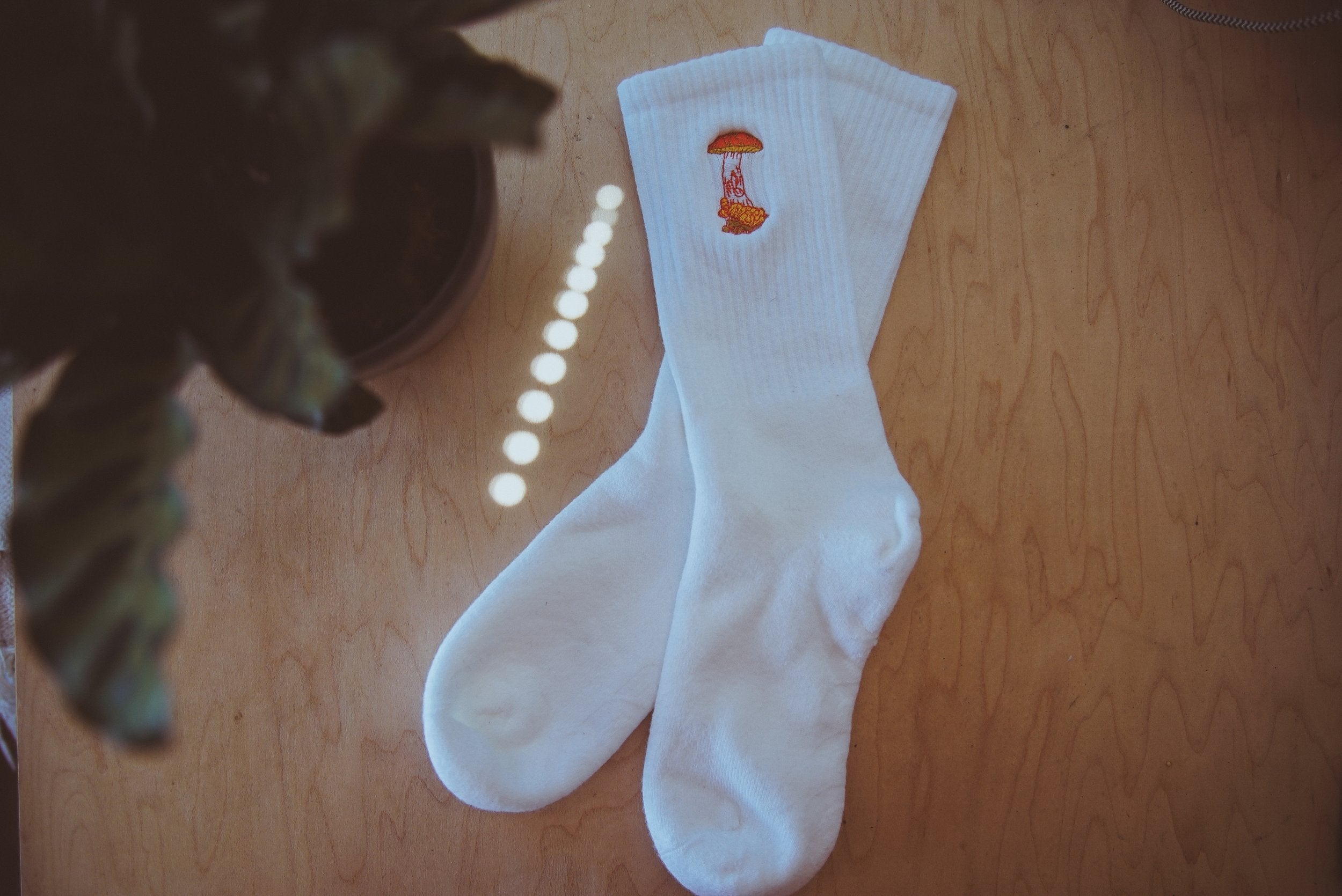 Rocket Fuel - Embroidered Cotton Socks