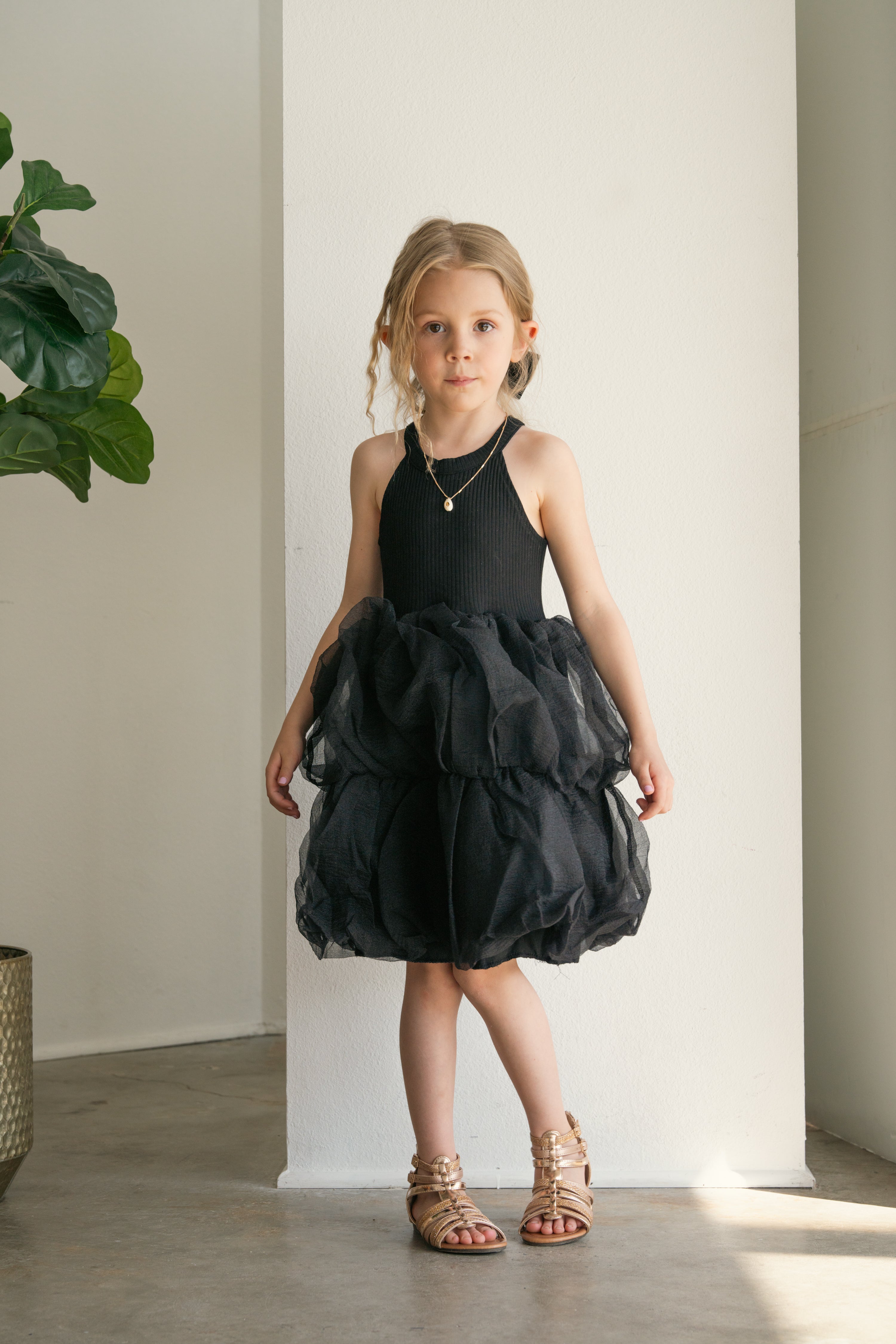 Midnight Whimsy - Black Cotton Tulle Dress