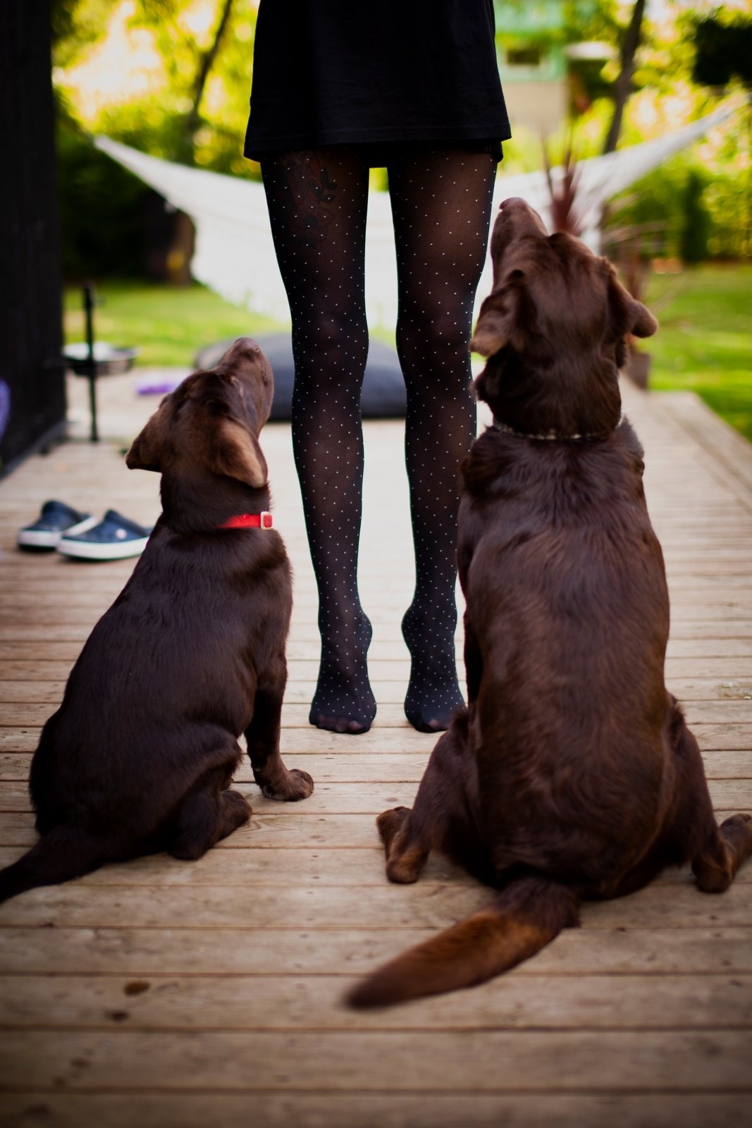 Recycled Polka Dot Tights